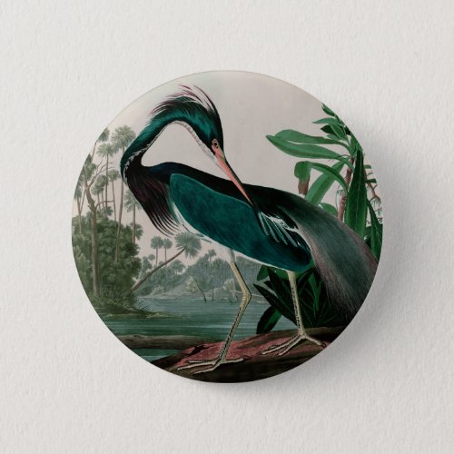 Louisiana Heron Birds of America Audubon Print Button