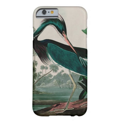 Louisiana Heron Birds of America Audubon Print Barely There iPhone 6 Case
