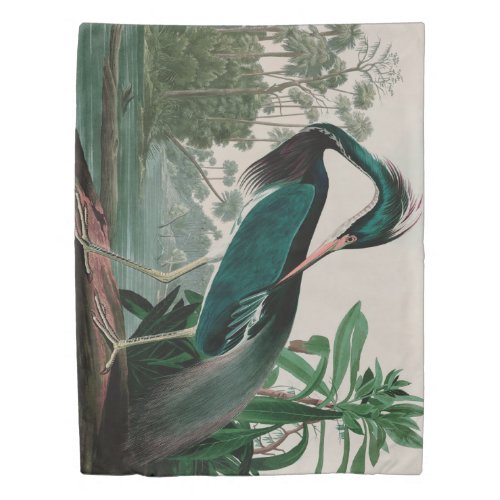 Louisiana Heron Birds of America Audubon Print Duvet Cover