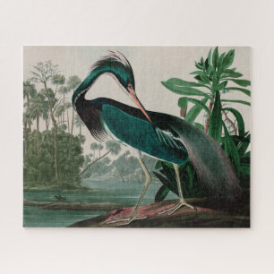 Louisiana Heron Birds of America Audubon Print Jigsaw Puzzle