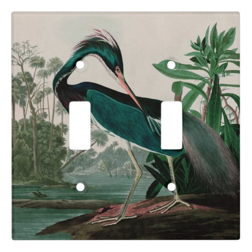 Louisiana Heron Birds of America Audubon Print Light Switch Cover