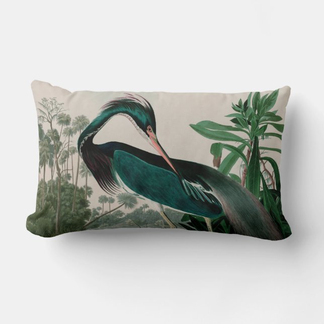 Louisiana Heron Birds of America Audubon Print Lumbar Pillow (Front)