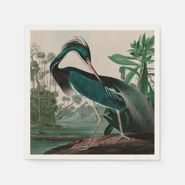 Louisiana Heron Birds of America Audubon Print Napkins (Front)