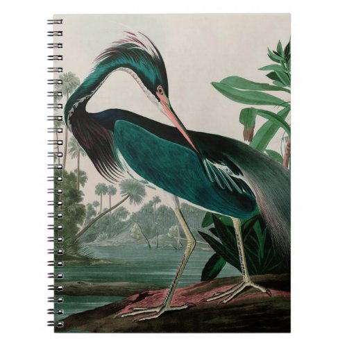 Louisiana Heron Birds of America Audubon Print Notebook