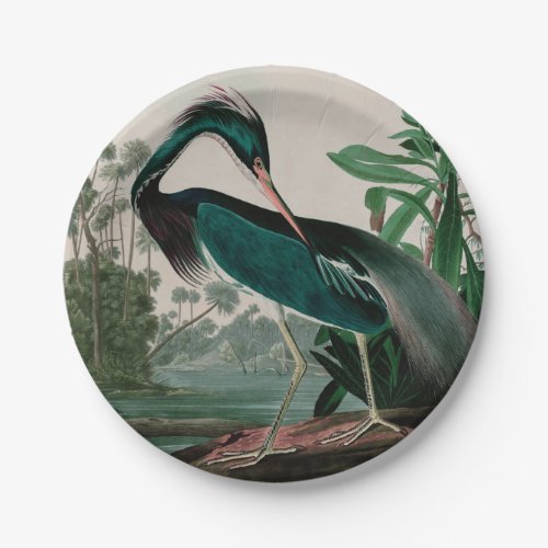 Louisiana Heron Birds of America Audubon Print Paper Plates