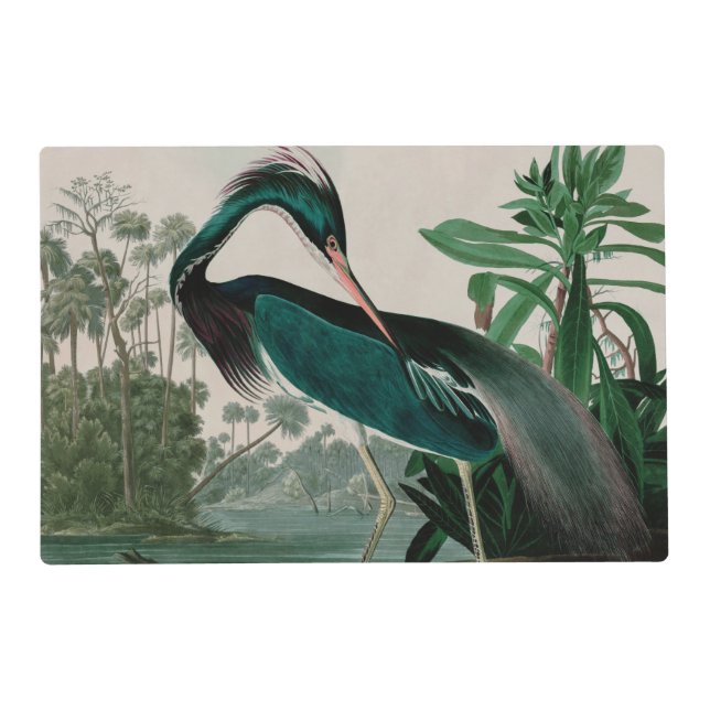 Louisiana Heron Birds of America Audubon Print Placemat (Front)