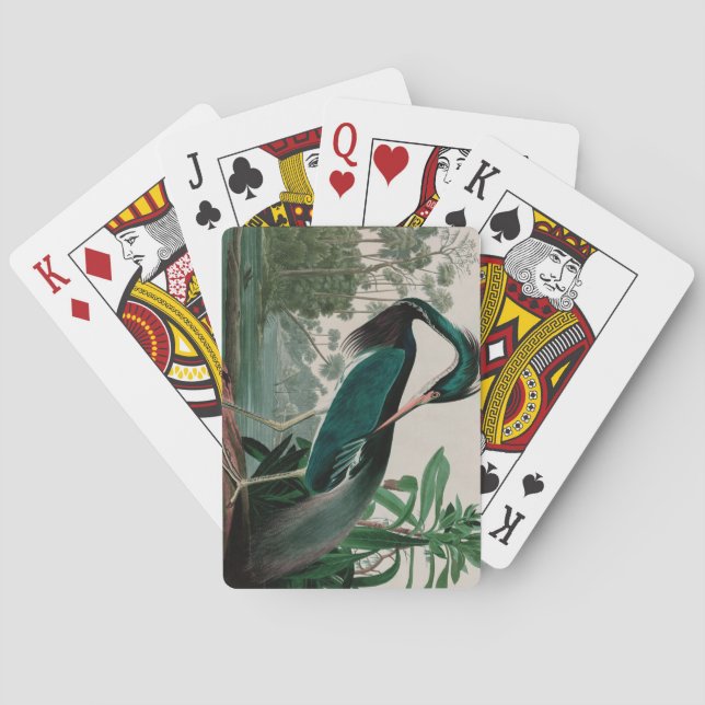 Louisiana Heron Birds of America Audubon Print Poker Cards (Back)