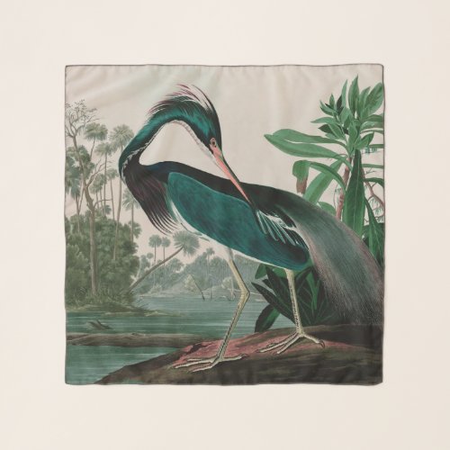 Louisiana Heron Birds of America Audubon Print Scarf