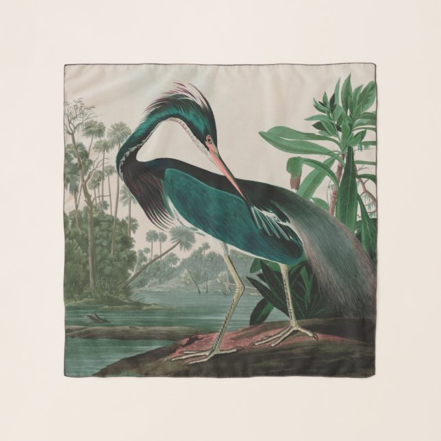 Louisiana Heron Birds of America Audubon Print Scarf (Front)