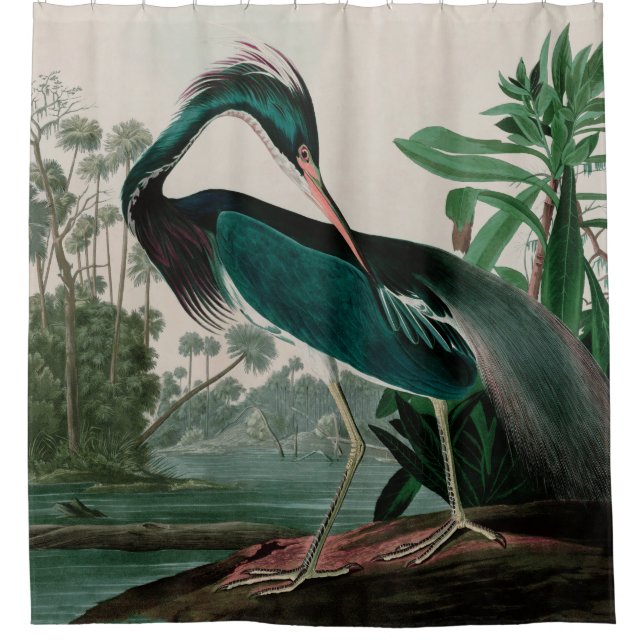 Louisiana Heron Birds of America Audubon Print Shower Curtain (Front)