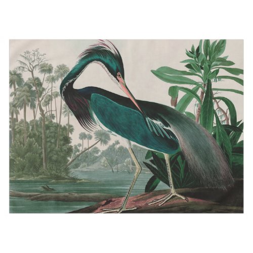 Louisiana Heron Birds of America Audubon Print Tablecloth