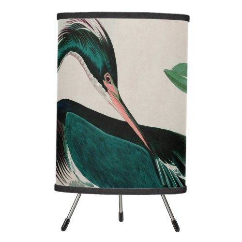 Louisiana Heron Birds of America Audubon Print Tripod Lamp