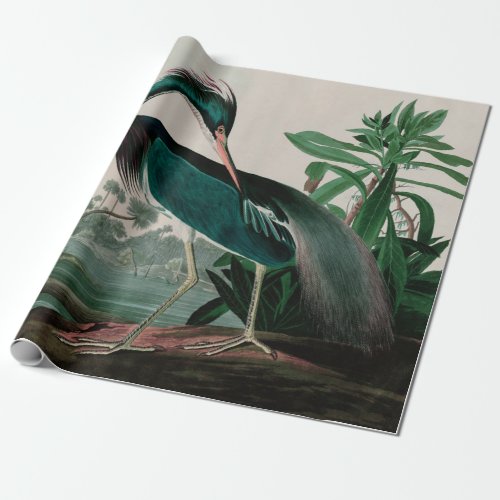 Louisiana Heron Birds of America Audubon Print Wrapping Paper