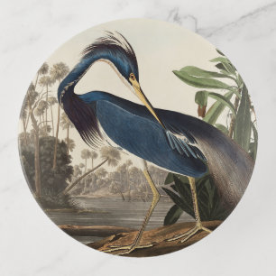 Louisiana Heron by Audobon Trinket Tray 