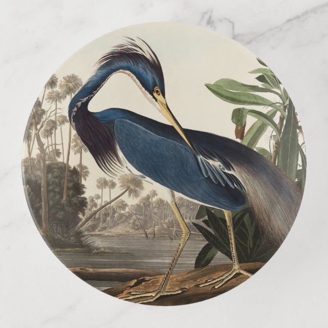 Louisiana Heron by Audobon Trinket Tray  (Front)