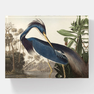 Louisiana Heron by AudobonPaperweight Paperweight