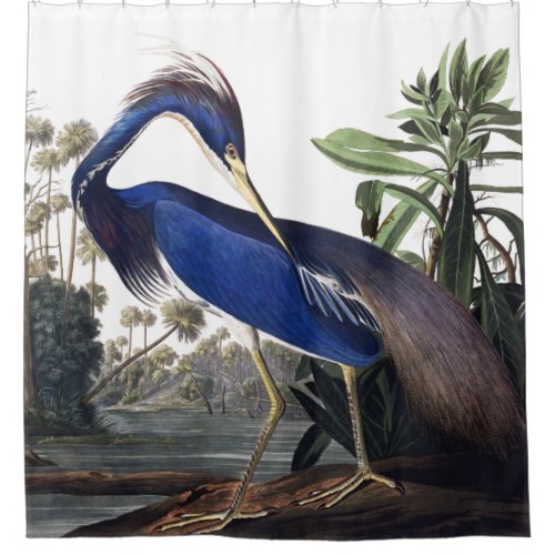 Louisiana Heron by Audubon Vintage Wildlife Bird Shower Curtain