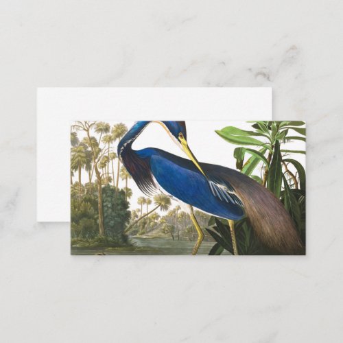 Louisiana Heron by John James Audubon Business Card