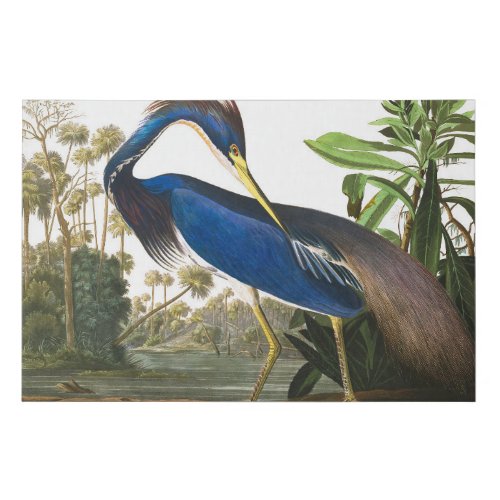 Louisiana Heron by John James Audubon Faux Canvas Print