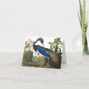 Louisiana Heron by John James Audubon Letterpress Thank You Card