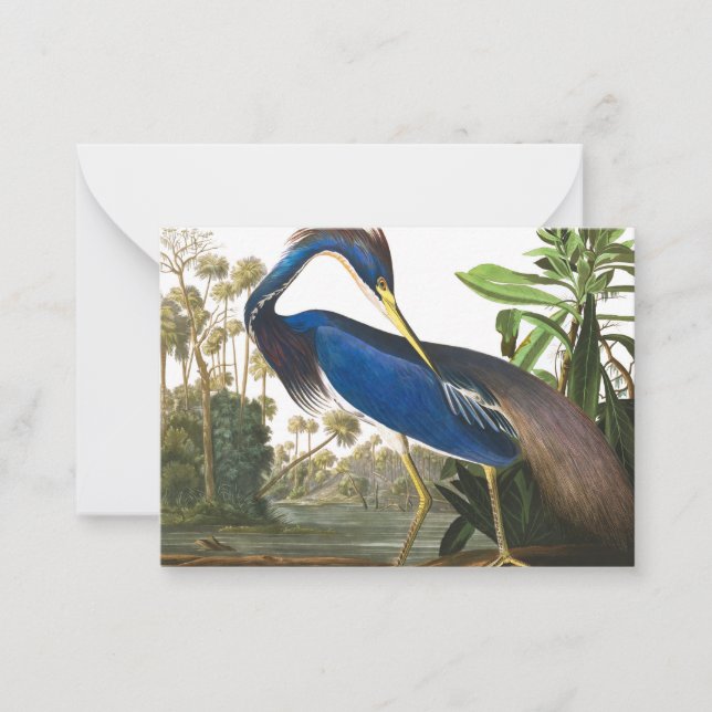 Louisiana Heron by John James Audubon Note Card (Front)