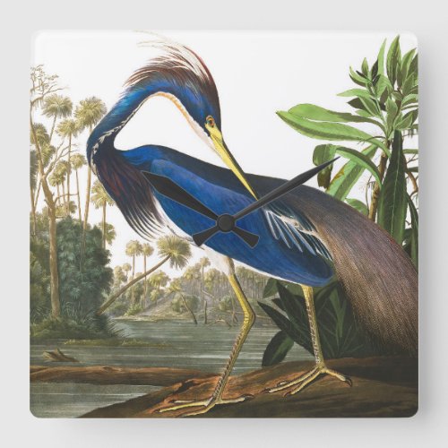 Louisiana Heron by John James Audubon Square Wall Clock