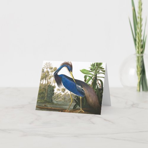 Louisiana Heron by John James Audubon Thank You Card