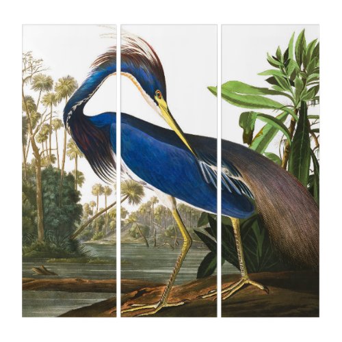 Louisiana Heron by John James Audubon Triptych