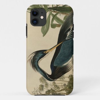 Louisiana Heron Iphone 11 Case by birdpictures at Zazzle