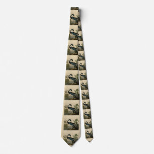 Louisiana Heron - from Audubon's Birds of America Neck Tie