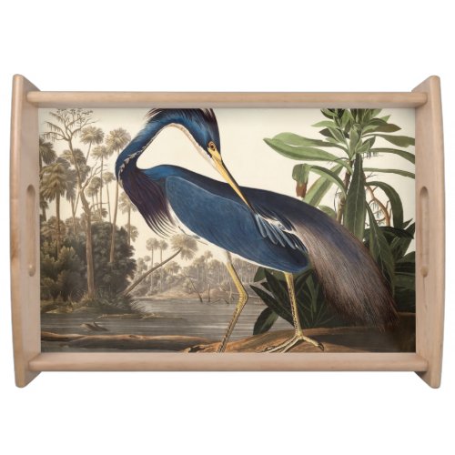 Louisiana Heron from Birds of America 1827 Serving Tray