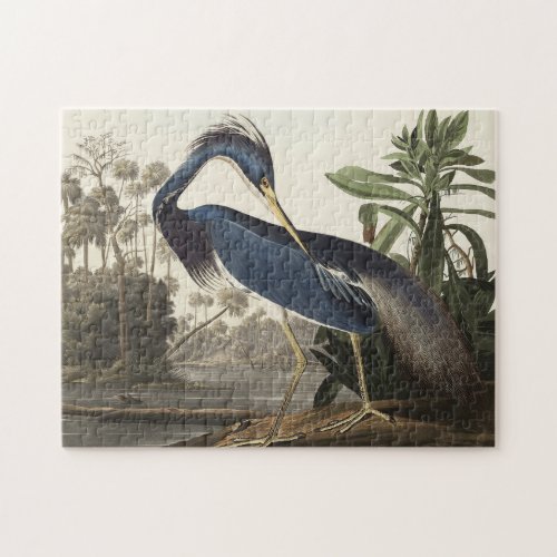 Louisiana Heron from Birds of America Jigsaw Puzzle