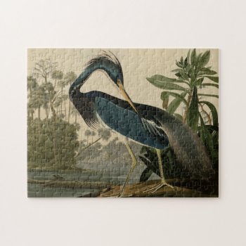 Louisiana Heron Jigsaw Puzzle by birdpictures at Zazzle