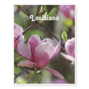 Louisiana Magnolia Temporary Tattoos