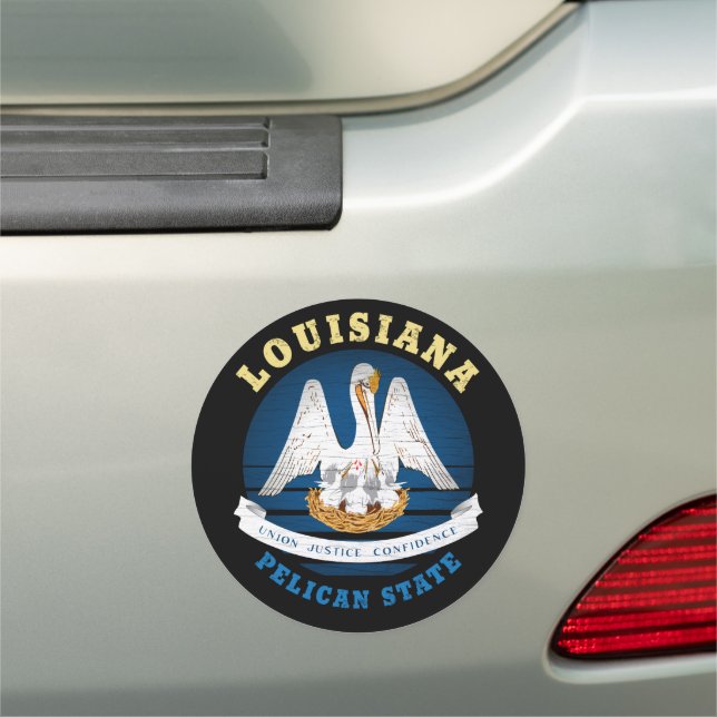 LOUISIANA PELICAN STATE FLAG KEY RING CAR MAGNET (In Situ)