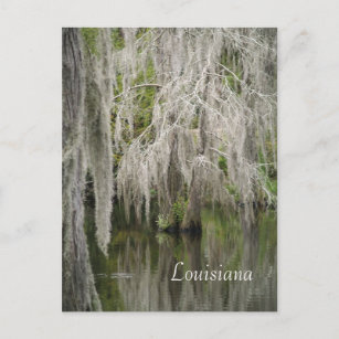 Louisiana Postcard