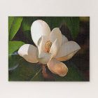 Louisiana Southern Magnolia
