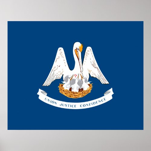 Louisiana State Flag Design Poster