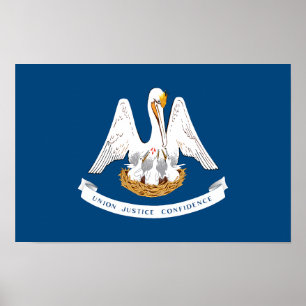 Louisiana State Flag Poster