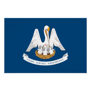 Louisiana State Flag Poster