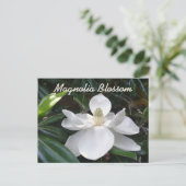 Louisiana State Flower White Magnolia Photographic Postcard (Standing Front)