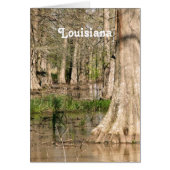 Louisiana Swamp (Front)