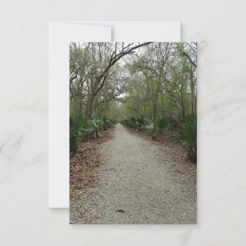 Louisiana Swamp Bayou Nature Note Card