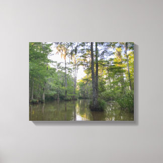 Louisiana Swamp Canvas Print