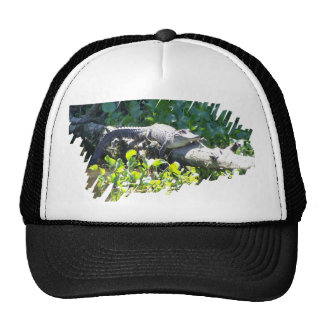 Swamp Hats | Zazzle