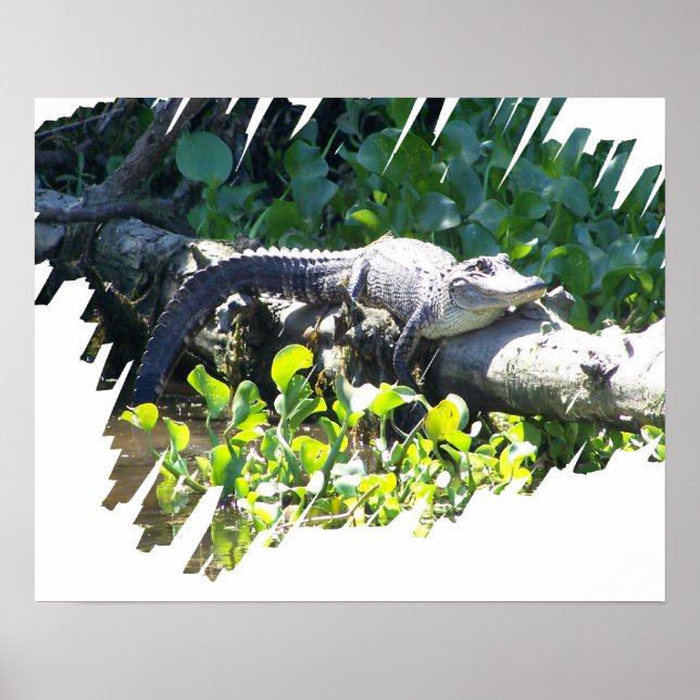 Louisiana Swamp Gator Hunter Poster (Front)