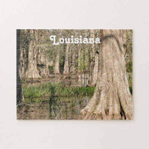 Louisiana Swamp Jigsaw Puzzle