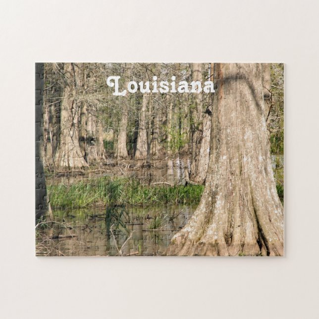 Louisiana Swamp Jigsaw Puzzle (Horizontal)