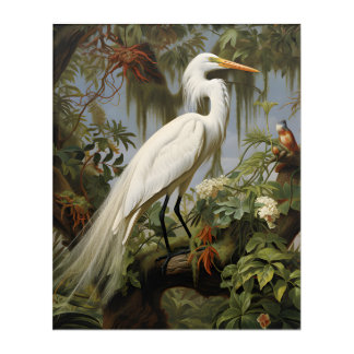 Louisiana Swamp: Majestic White Egret Acrylic Print