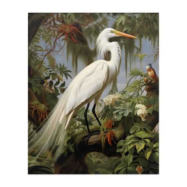 Louisiana Swamp: Majestic White Egret Acrylic Print (Front)